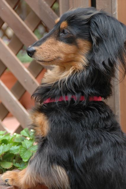 気になるね。外が気になるね・・。