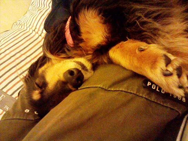 安心しきってるこの顔。私たちも幸せだよ。