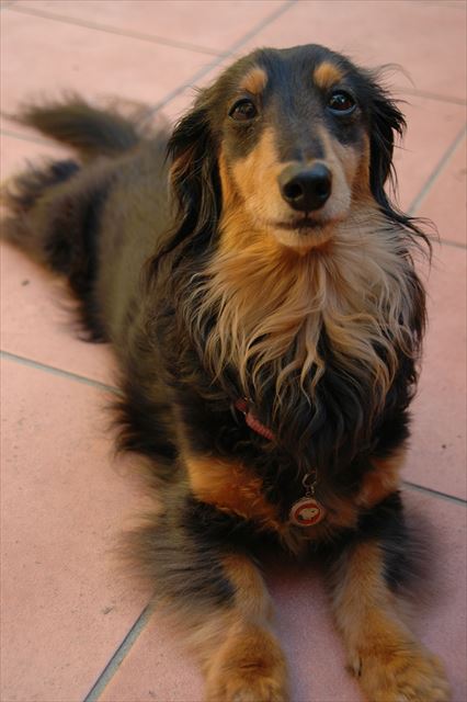 お庭でまったり・・