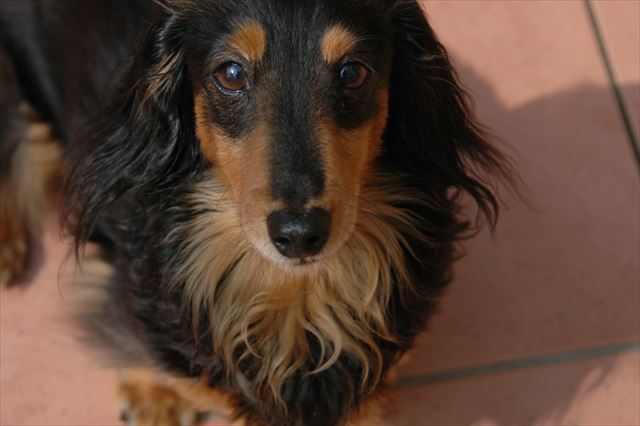 ん？何？何か訴えてるね・・