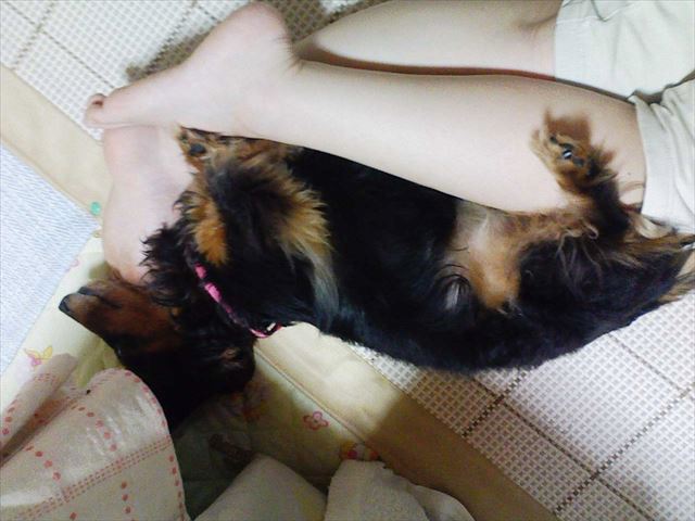 夏だね。今日もよく遊んだね。