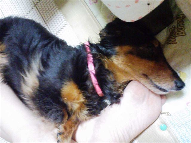 いつでも一緒だよね。