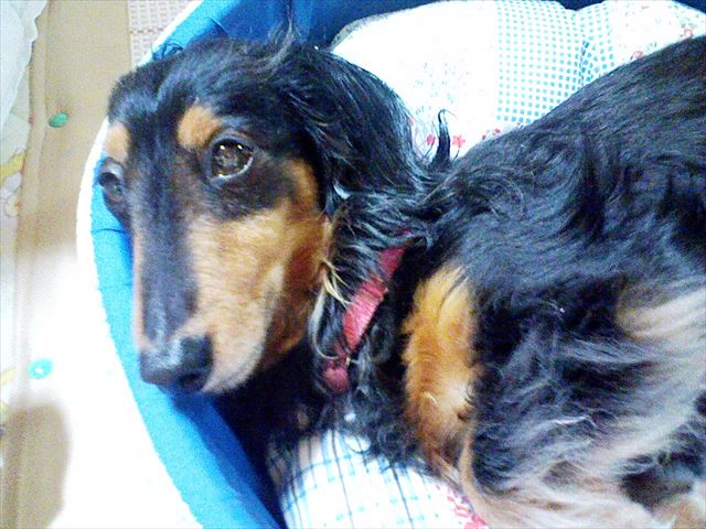 おめめ、覚めた？