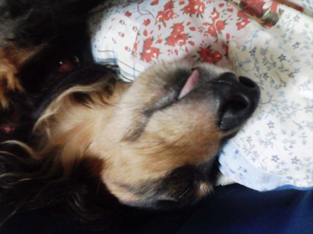 舌よく出たよな・・