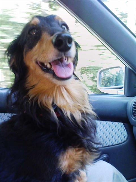 この笑顔が見たくて、私はどこまでも車を走らせたよ・・！