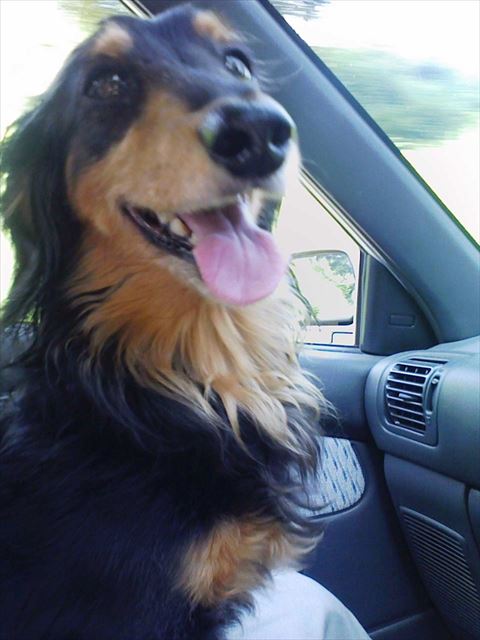 満面の笑み。ごっきげん♪