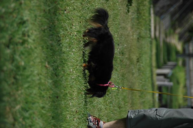 クンクン・・何を感じているのかな。