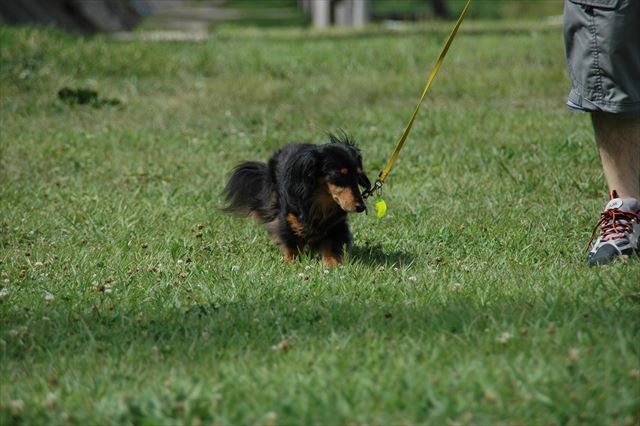 真夏のルパン。太陽のように明るくしてくれる子だった。