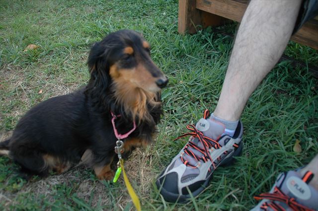 今日は宮川へ散歩！