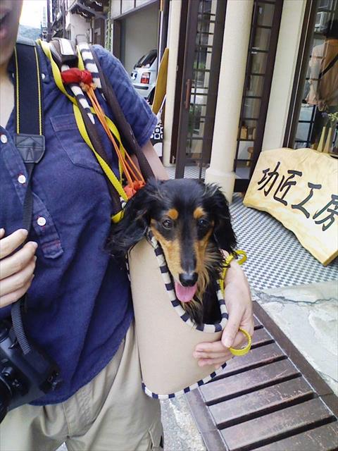 どこへ行くのも一緒だった。左肩に、今でもルパンの重みを感じることがある。