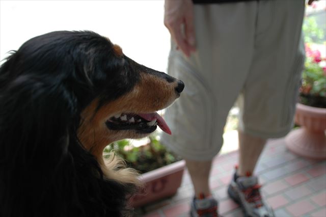 夏の終わりに。また来年も来ようよね。