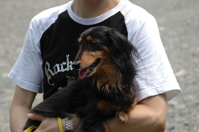 暑いね・・日陰で体冷やそうね。