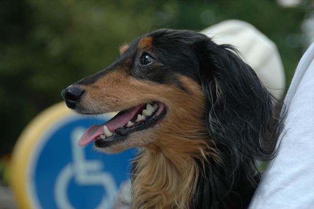 ルパンがいれば強くなれた。今でもいるよね？すぐそばに。