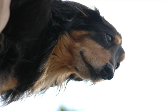 ルパン、大好きだよ。今でも大好きだよ・・