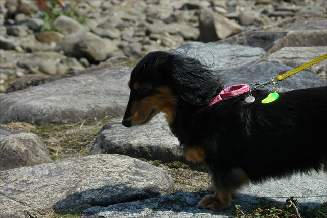 何か見つけた？何？何が気になってるの？