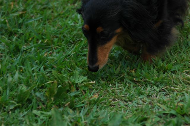 うんうん、気になるね。そこのところ、匂い気になるね。