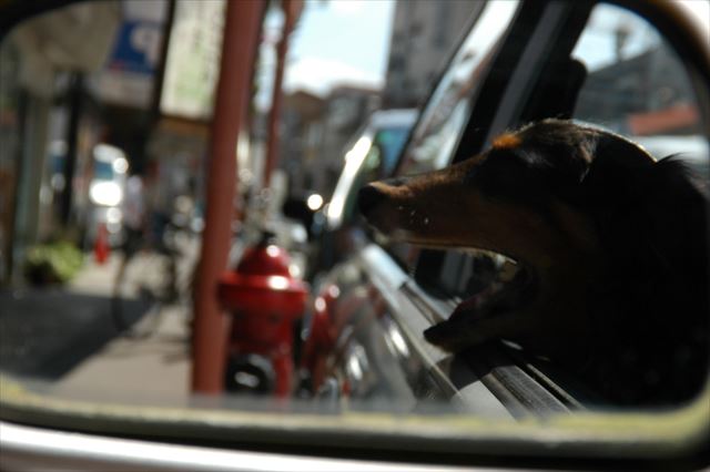 papa早く帰ってくるといいね・・