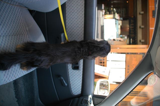 papa早く帰ってこないかな。