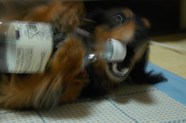 やんちゃなルパン♪