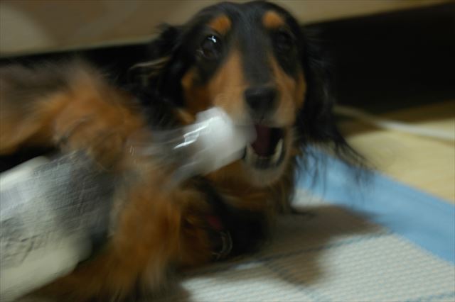 キャップ開けるの好きだったよね・・