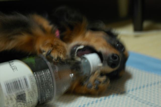 無邪気なルパンは今でも私の中に生きてるよ。