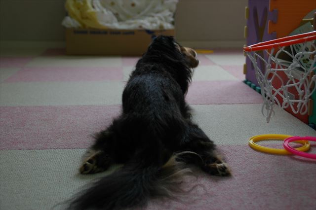 ルパンのこのポーズ、大好き！