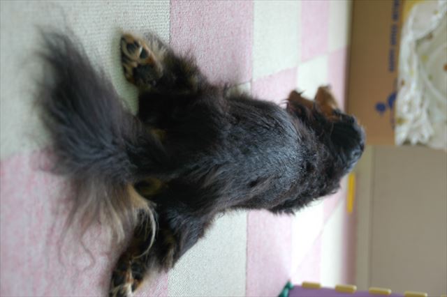 ルパンが好き。このポーズが好き。