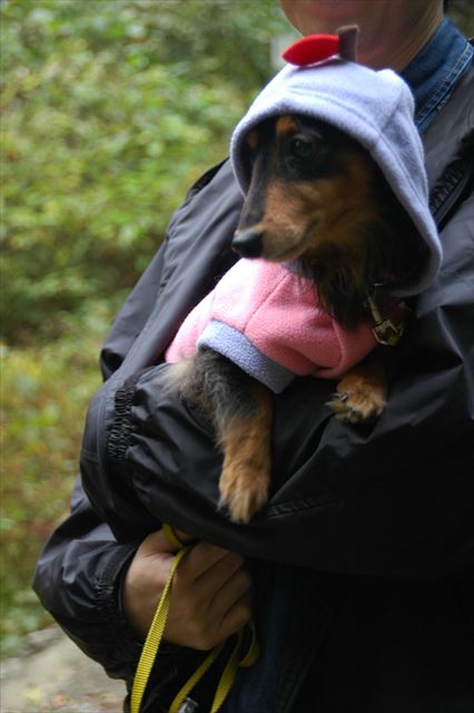 寒かったね。ルパンが風邪ひかないか心配だったよ。