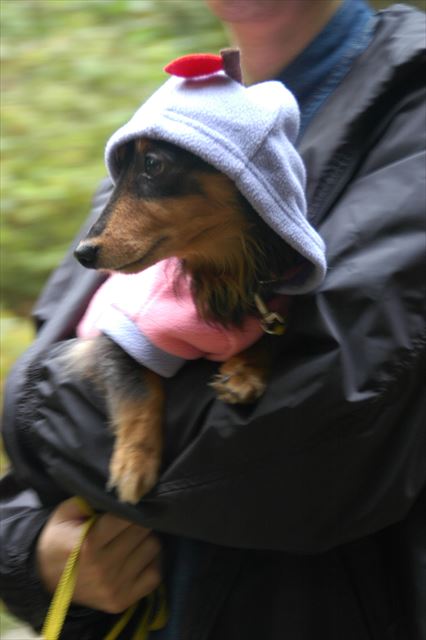 寒かったよね。ルパンその服、よく似合ってる。