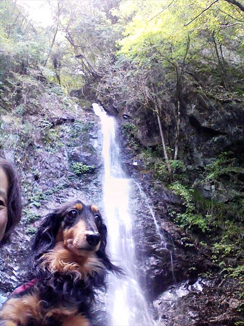 どこもみんなルパンに連れていってもらったんだって思う。