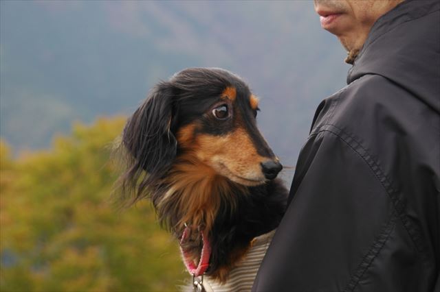 奥多摩湖で。ルパンがいればどこへ行っても楽しかった。