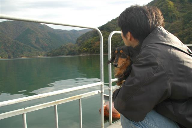 紅葉狩り。ちょっと寒かったね。ずっとだっこされてたよね。