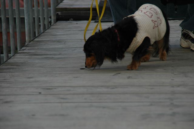 気になるね。そのシミ、気になるよね。
