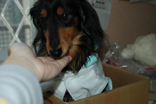 お洋服トレーニング中・・