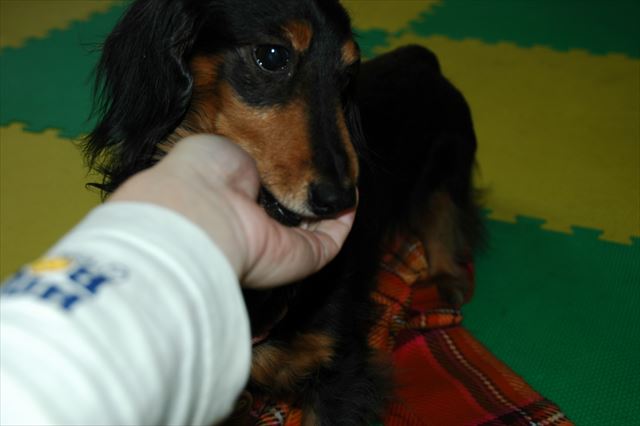 いたずら好きのルパンも大好きだった