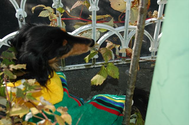 洋服あったかい？