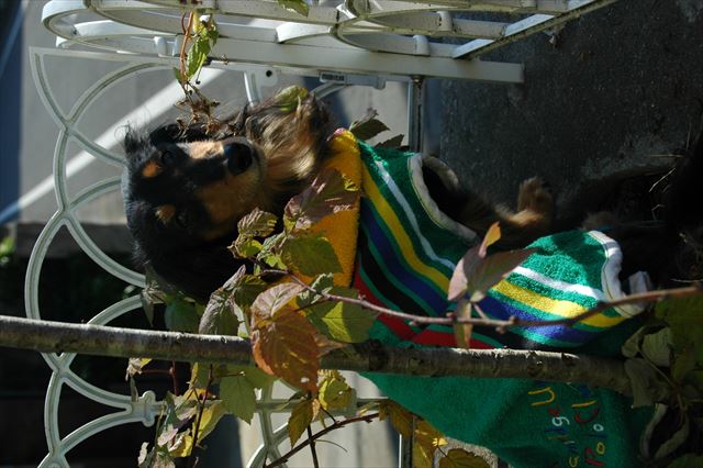 ポカポカだね。