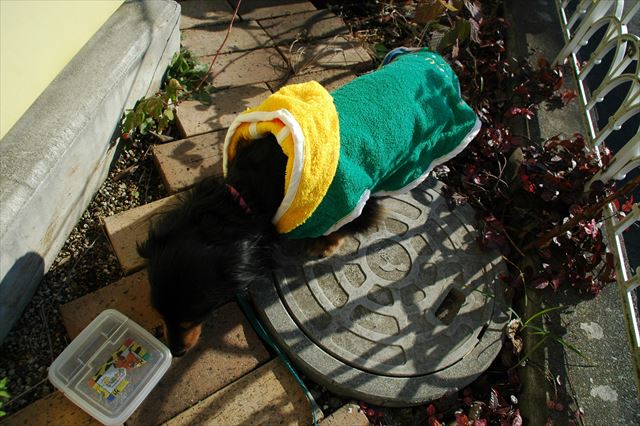 うふ。狙ってる！