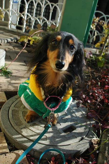 洋服着ると固まっちゃう。いろいろ試したけど、裸んぼが一番好きだったよね（笑）。