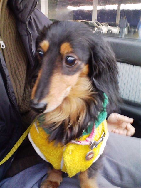 あっためてあげる。洋服とパパのぬくもりで。