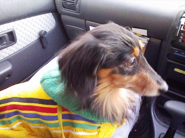 冬のドライブ。手作りのお洋服、気に入ったかな？