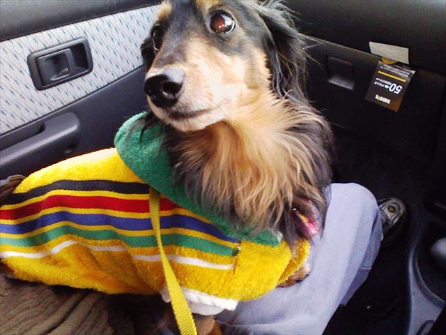 寒いけどみんなでドライブ楽しいね。