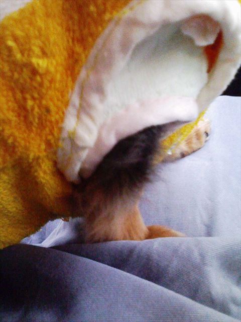 おててもかわいい！