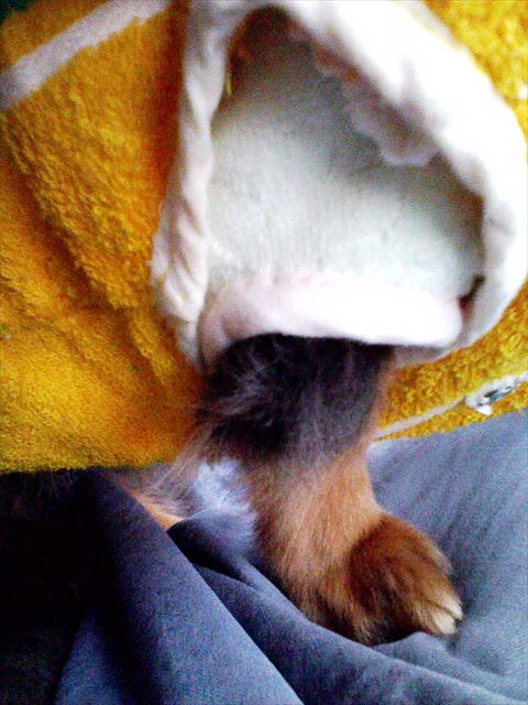 ルパンのおてて・・♪