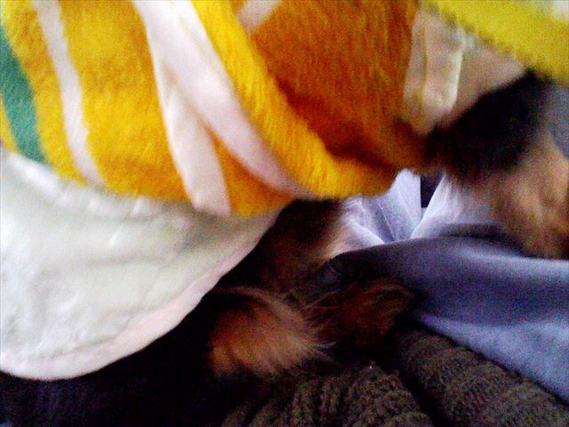 ルパンのすべてが好きだった