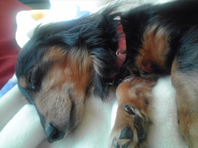 幸せだよ。こんな寝顔が隣にあるなんて。