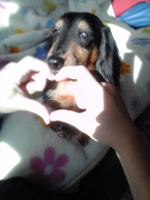 ルパン、大好き！