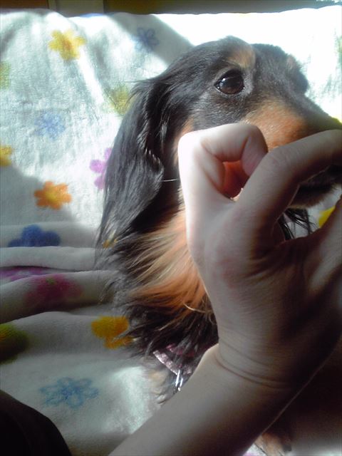 ルパン・・大好きだよ。