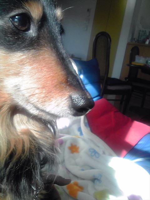 ひなたぼっこ。心もポカポカ幸せな時間。