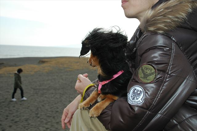 何見てるの？ルパン。